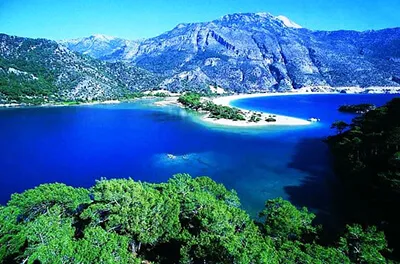 Muğla Web Tasarım