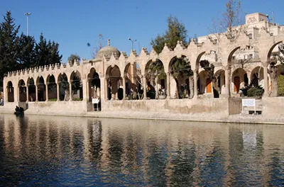 Şanlıurfa Web Tasarım